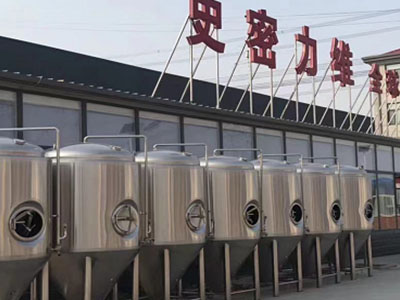 虹口精酿啤酒设备厂—市场规模与跨界新需求
